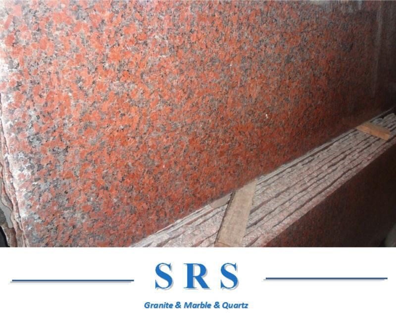 Natural China Maple Red Granite (G562) for Flooring/Wall