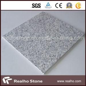Natural Stone G602 Granite Flooring Tile