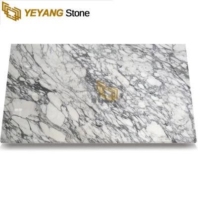 Polished Gray/Black/White Arabescato Marble Slab Countertops