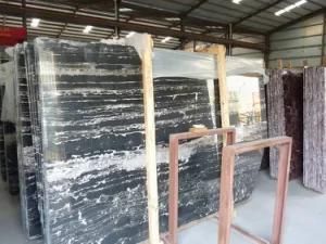 Chinese Black/White Silver-Dragon Marble for Flooring and Wall
