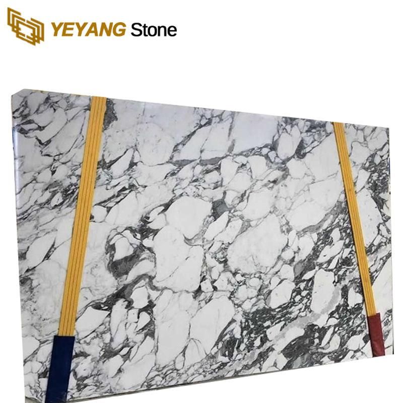 Natural Stone Carrara White Marble for Background/Bathroom/Countertop