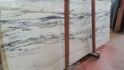 China Top Grey Granite/Calacatta Giotto Cross Cut Granite/Calacatta Giotto Cross Cut for Floor/Background