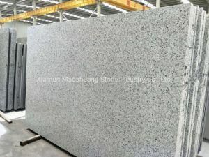 White/Grey/Black/Red/Pink/Beige Marble Granite for Paving Stone/Floor Tile/Wall Cladding