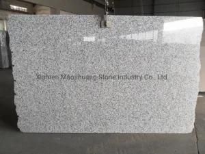 Bianco Sardo/White Pearl Granite with Big White Flower Popular for Floor/Wall/Countertop