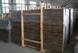 Gold Coast Polished Granite for Tile/Slab for Counter Top/ Flooring