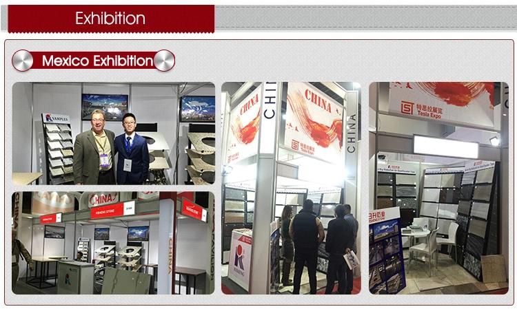 Factory Price Customized Polished Granite for Tiles and Countertops