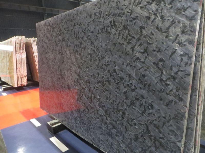 Wholesale Natural Versace Black Marble Luxury Stone for Hotel Design