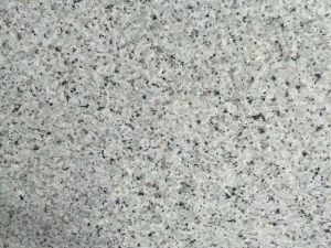 Nice Color Big Flower Natural Granite Bala White
