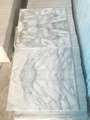 China Snow White/Cn Arabescato White Marble Slab/Tile for Flooring/Counter Top