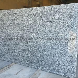 Grey Granite/ Polished G682/G654/G603/G664/G687/G439/G562 White/Black/Grey/Yellow/Red/Pink/Brown/Beige/Green Stone Granites
