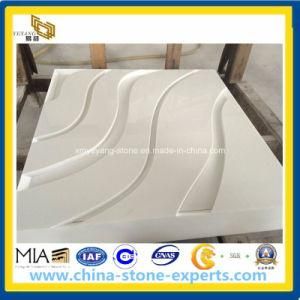 Nano Crystallized Galss Panel Stone for Wall Cladding (YYAZ)