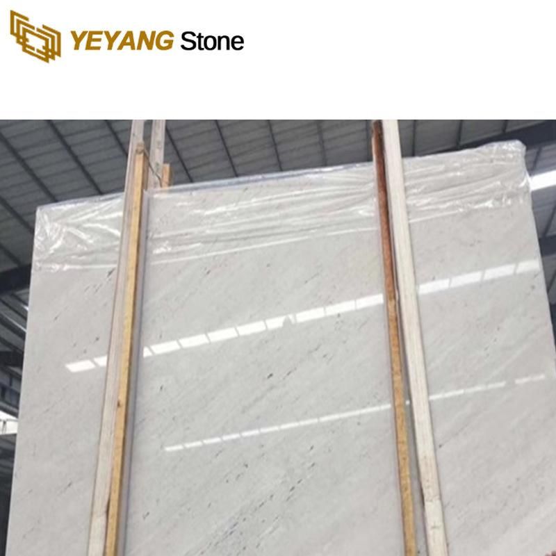 Natural White Civic Marble for Kitchen/Bathroom/Wall/Flooring/Stair/Tile/Cladding