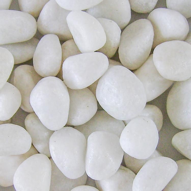 Tumbled Snow White Stone for Garden Decoration