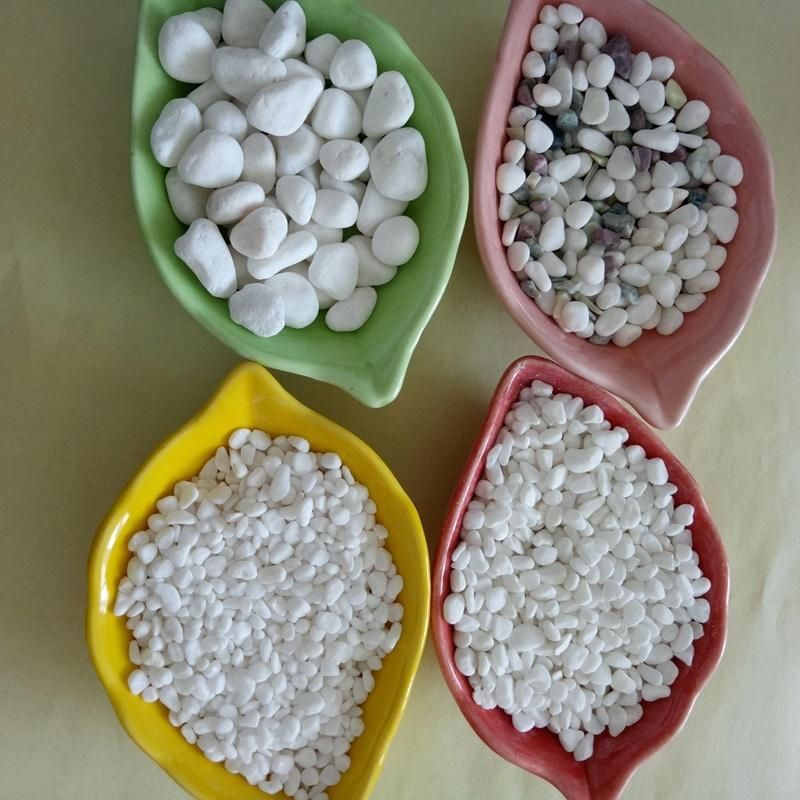Small Pure White Pebbles/Cobblestone with Low Price
