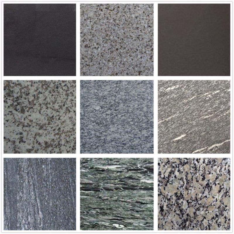 Natural Black Granite for Flooring/Wall Cladding/Stairs/Steps/Pool Coping Stone Tile Paving