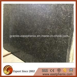 Hot Selling Labrador Blue Granite Slab for Step and Countertop