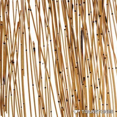 Customized Design Acrylic Shower Wall Panels for Interior Decors