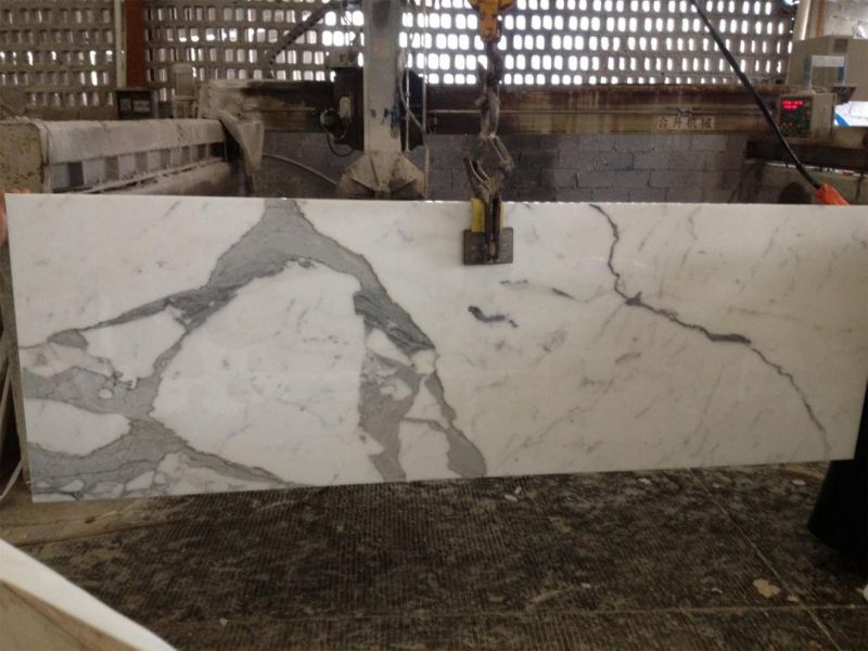 Calaeatta White Stone Marble for Flooring Tiles Slabs Countertops/Worktops/Vanitytops