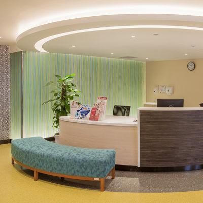 Office and Hotel Decoration Acrylic Partition Sheet