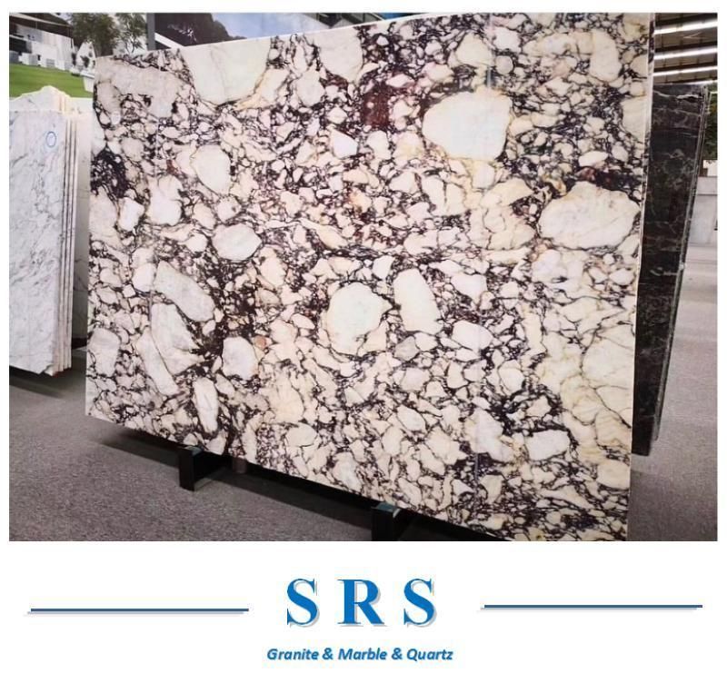 Calacatta Viola Marble Slab for Flooring Tiles/Countertop