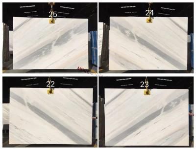 Italian Grade a Pallisandro White Marble