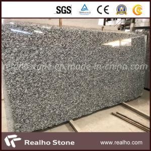 Polished Spray White Granite Slabs