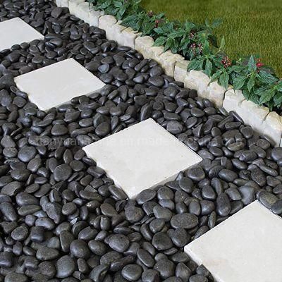Natural Black Pebble River Rock Size Stone 2-3cm /3-5cm /5-8cm for Garden Landscaping
