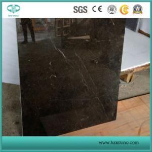 Polished Brown Gold Marble, Royal Brown Marble, Brown Golden Marble