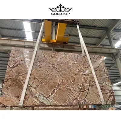 Natural Stone Polished/ Honed Surface Bathroom/Kitchen /Living Room Countertop Tropical Rain Forest Brown Marble for Home