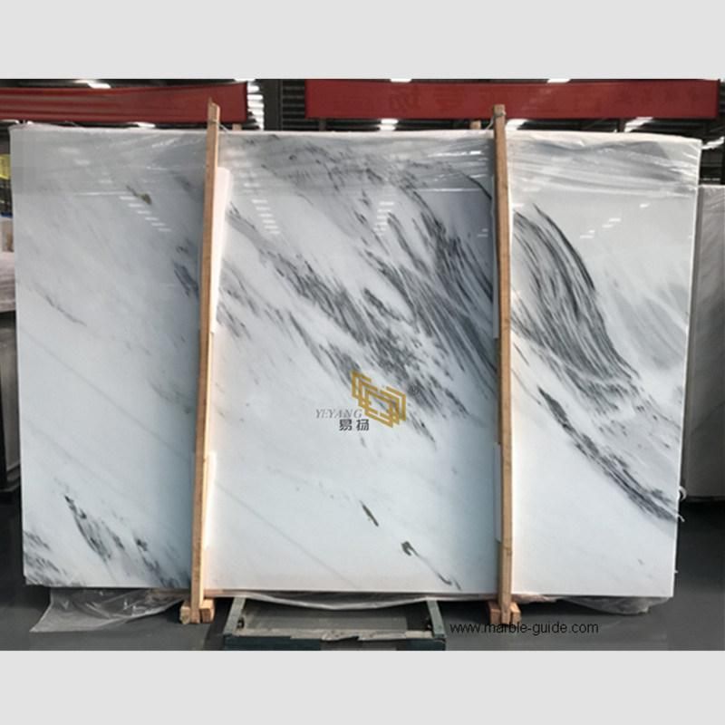 Natural Ink White Marble Stone Tile/Slab for Flooring/Bathroom/ Shower Wall/Vanity Tops/Flooring/Background