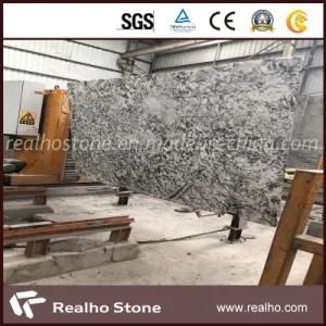 Factory Price Natural Antique Brazil Bianco Azul Aran White Granite
