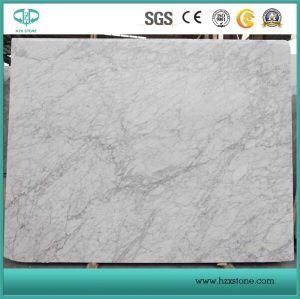 Grey Vein White/Polished Carrara Marble for Floor Tiles/Wall/Vanity Top