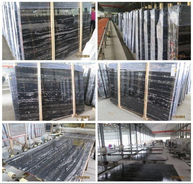 Hot Selling Silver Dragon Marble Slabs Marble Tiles with Best Quality of The Marble