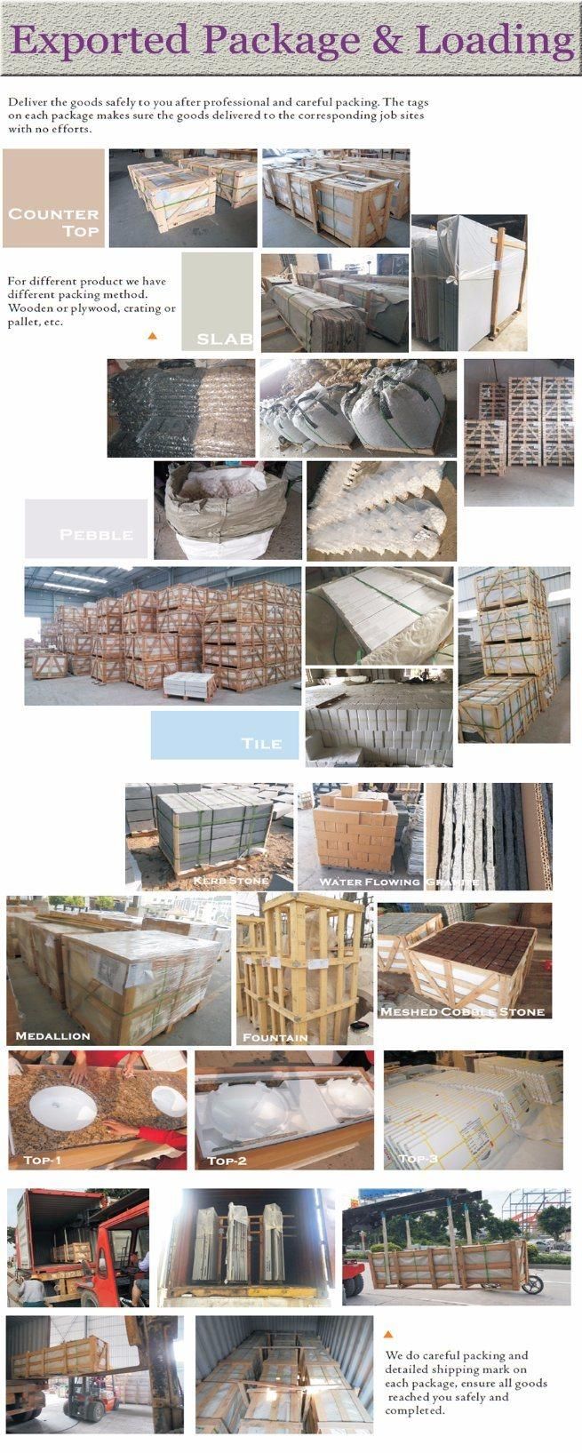 Pre-Assemble Reliable Service Natural Stone Arabescato White Marble