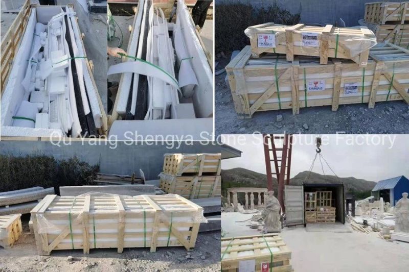 Natural Stone Double Marble Fireplace Surround Lion Design (SY-MF260)