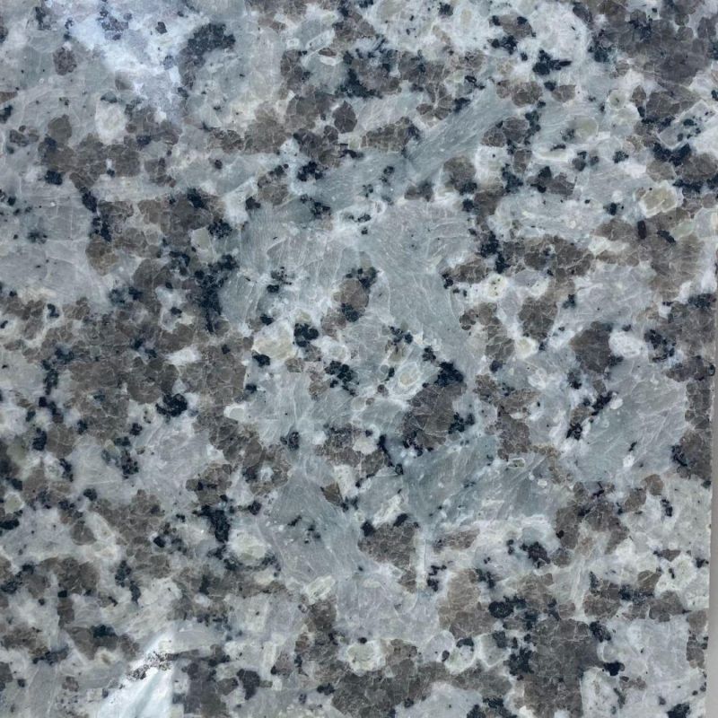 Bara White Natural Granite Tile Building Materials for Building Decoration