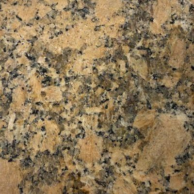 Gold Diamond Granite Polished Polished Gold / Decorative Granite Countertops / Tile / Anti-Splash