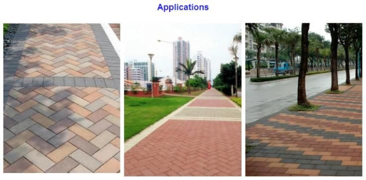 Paving Bricks for Urban Waterlogging