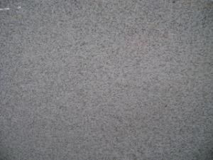 Imported Granite Canada White for Tiles/Countertops/Kitchentops/Hotel/Building Materials