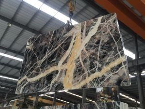 Black Jungle Marble Polished Tiles&Slabs&Countertop