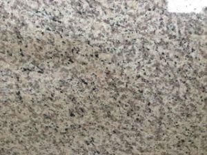Tiger White Big Slabs