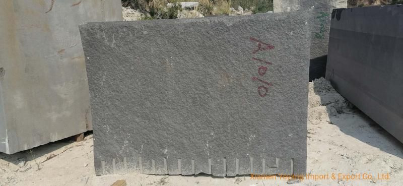 Natural Black Granite Slabs/Tiles/Blocks/Stone Wholesale