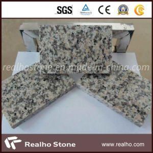 Tiger Skin Red Granite for Countertop, Flooring Tile
