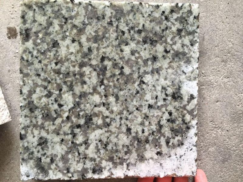 Green Bean Granite