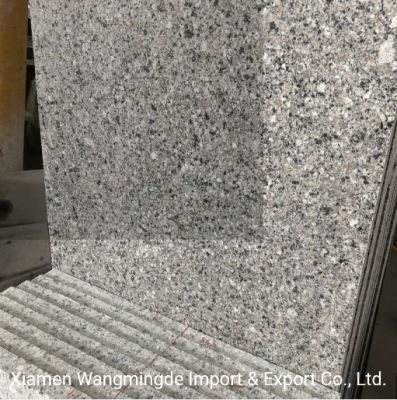 Cheap China Natural Stone Polished Granite for Tiles/ Slabs/Countertop