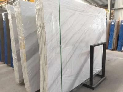 White/Black/Brown/Grey/White Marble Slab for Wall/Floor/Countertops and So on
