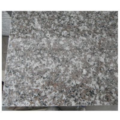 Cut to Size G664 Granite Tile Misty Brown Natural Stone Tile for Indoor Outdoor Floor