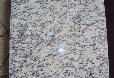 Tiger Skin White Granite Slab/Tile Wall Floor Tile