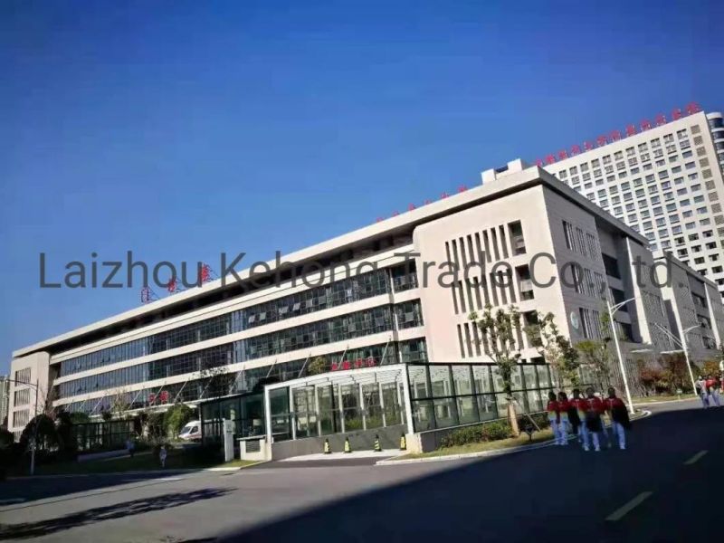 Perennial Wholesale Square Pavement, Park Pavement, Landscape Greening with Granite Plate
