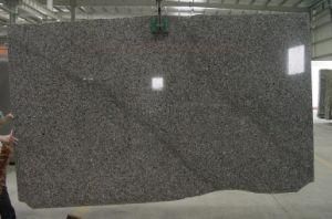 San Louis Tiles Granite for Counter Flooring and Wall